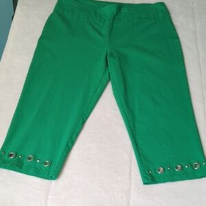 Zac & Rachel Vibrant Green Pants
